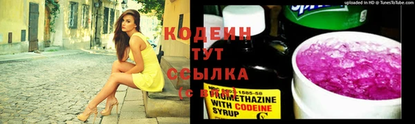 гидра Медвежьегорск
