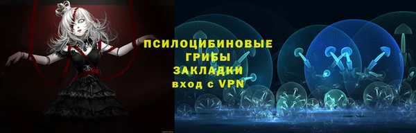 гидра Медвежьегорск