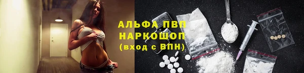 гидра Медвежьегорск