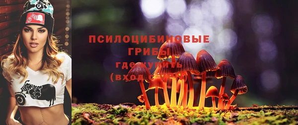ECSTASY Медногорск