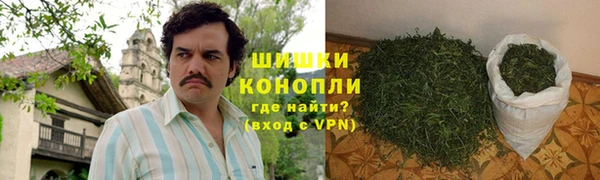 гидра Медвежьегорск
