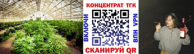 где можно купить   Алатырь  Дистиллят ТГК концентрат 