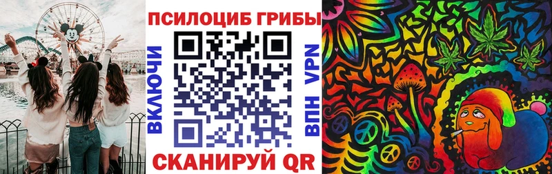где можно купить наркотик Алатырь Псилоцибиновые грибы мицелий